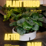 Plant Bingo After Dark Asili's Boutique