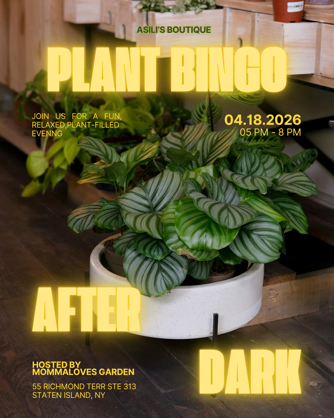 Plant Bingo After Dark Asili's Boutique